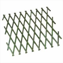Expanding Trellis 6' x 1' Green