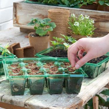 Composts and Soil Improvers